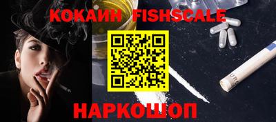a pvp Камышлов