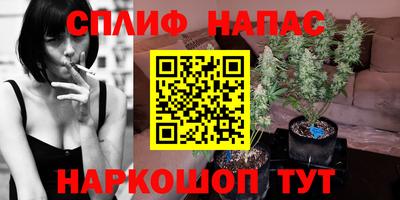 a pvp Камышлов