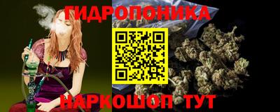 a pvp Камышлов