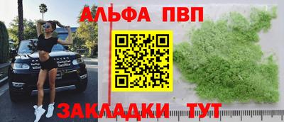 a pvp Камышлов