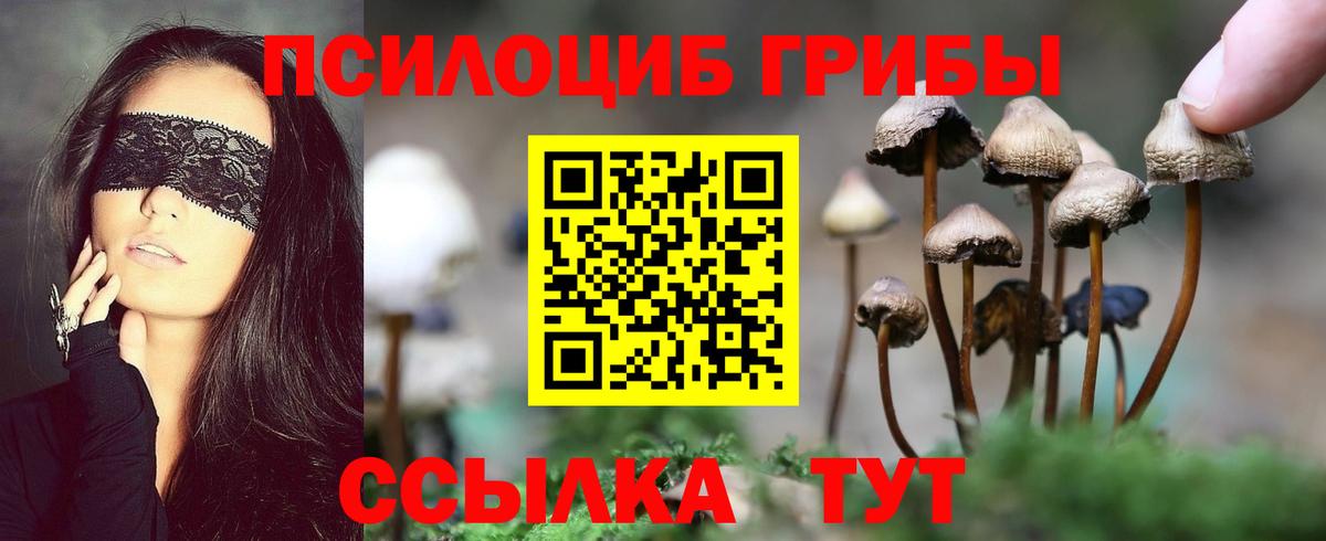Галлюциногенные грибы ЛСД  Галлюциногенные грибы GOLDEN TEACHER  Морозовск  Вход с VPN 